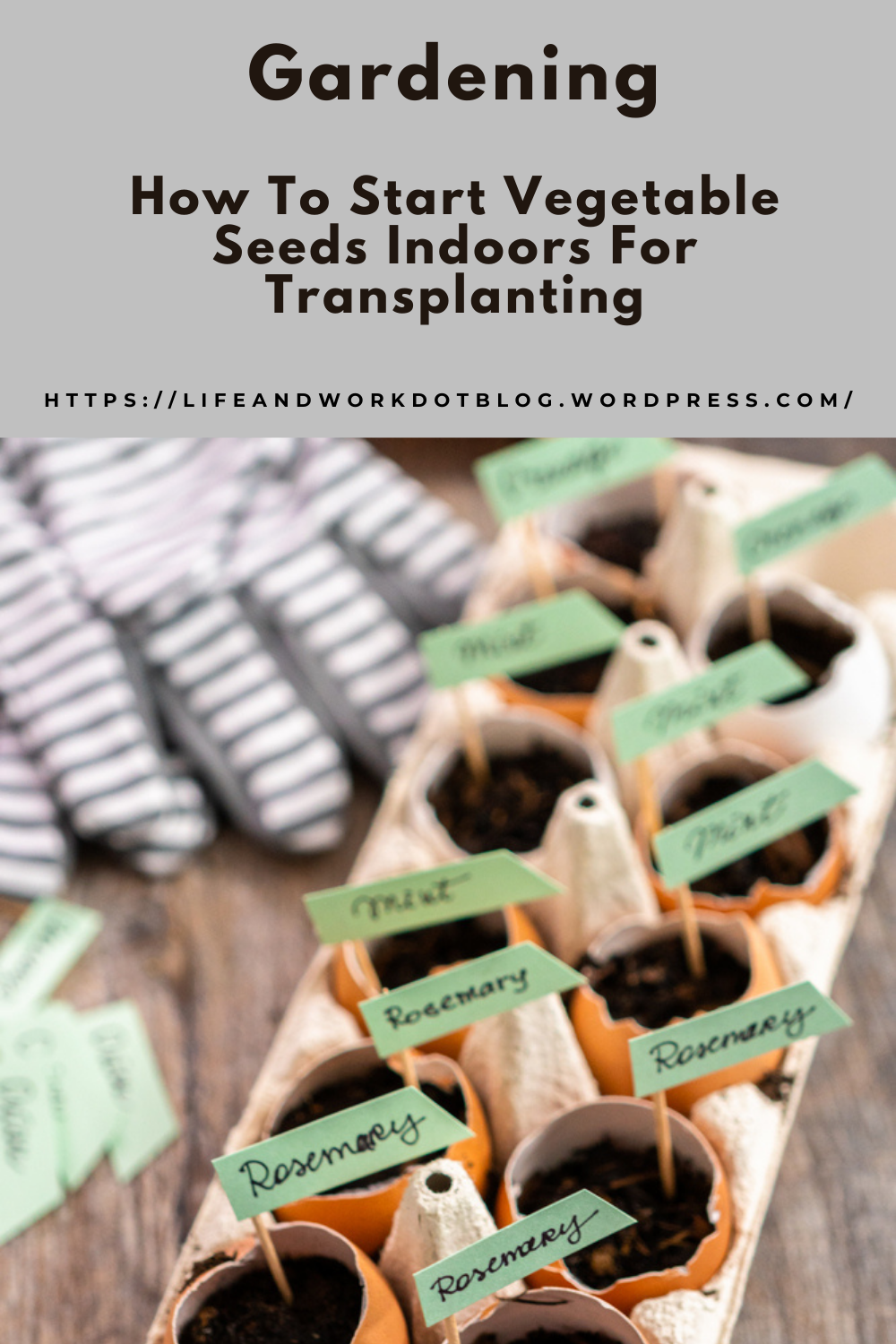 Gardening – How To Start Vegetable Seeds Indoors For Transplanting