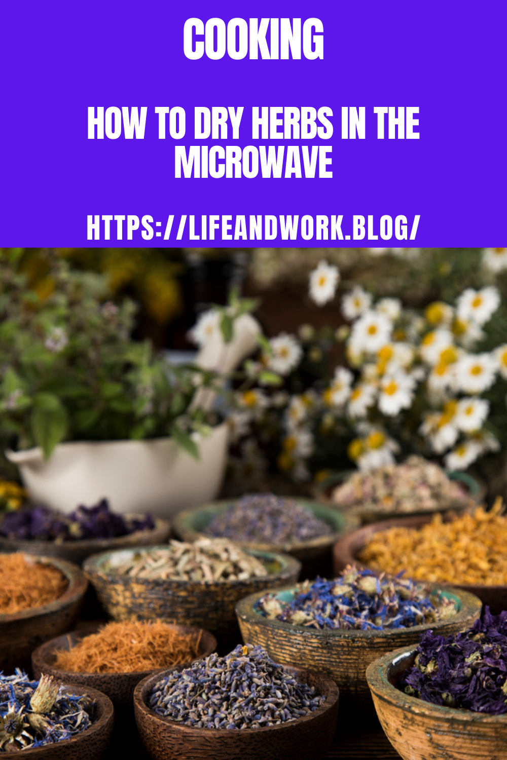 Learn how to dry herbs using your microwave.