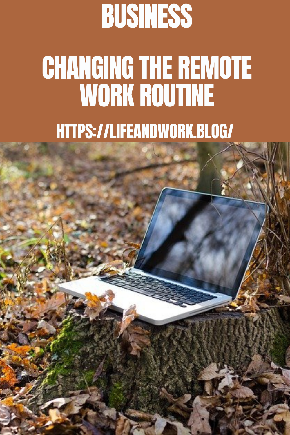 Business – Changing the Remote Work Routine