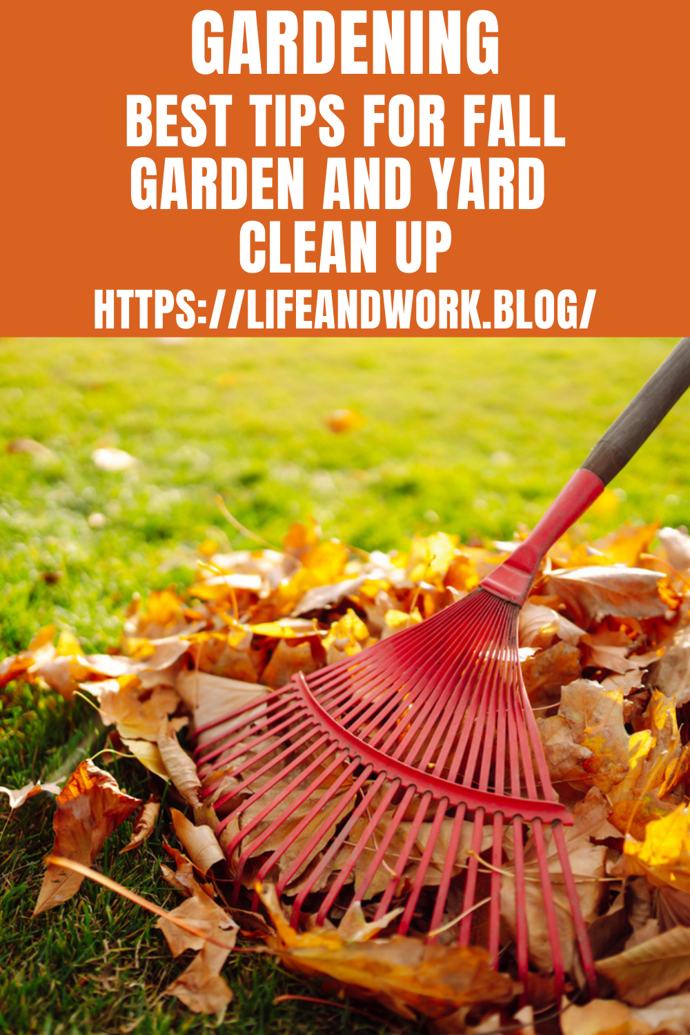 Best Tips For Fall Garden And Yard Clean Up