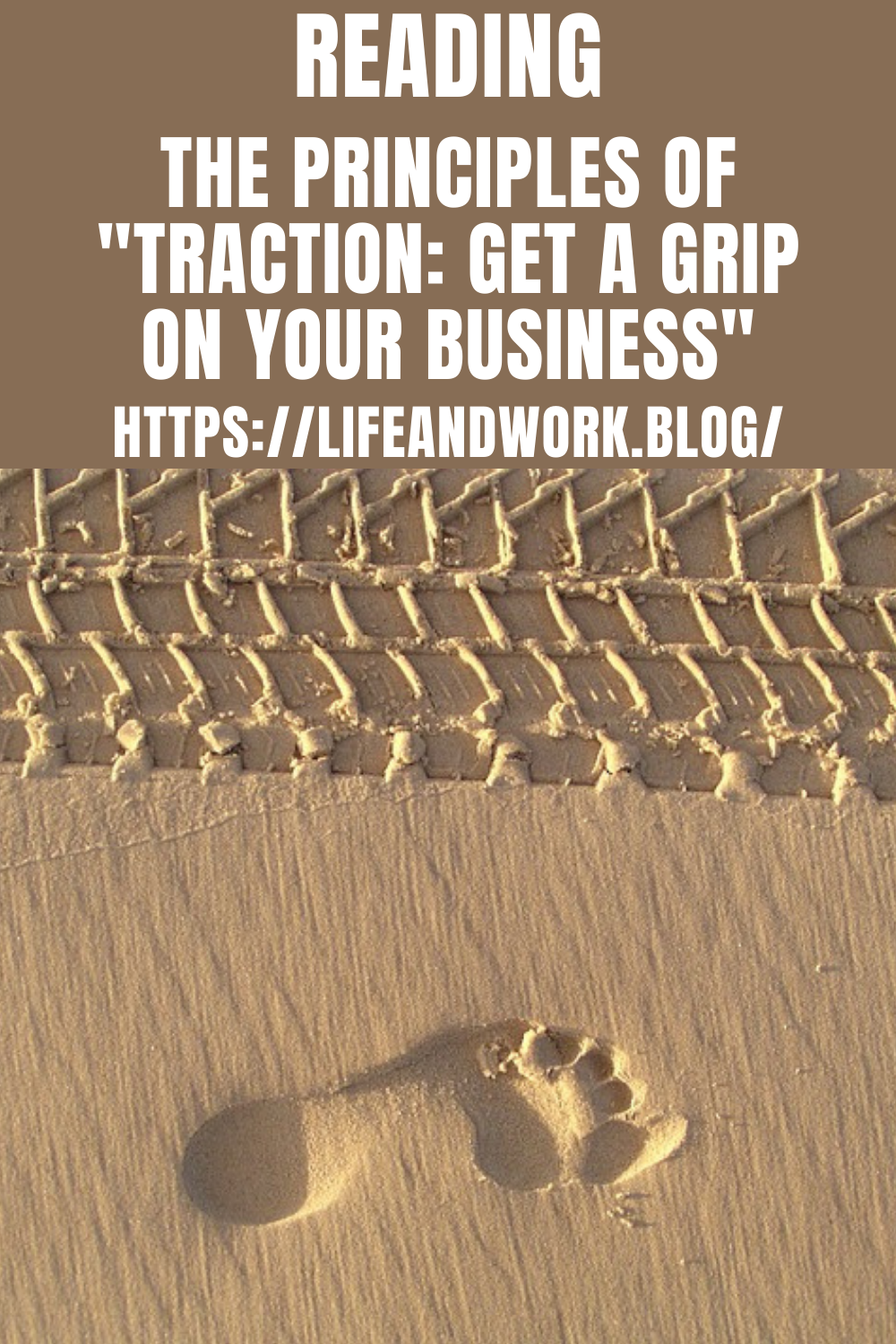 Reading – The Principles Of Traction Get a Grip on Your Business