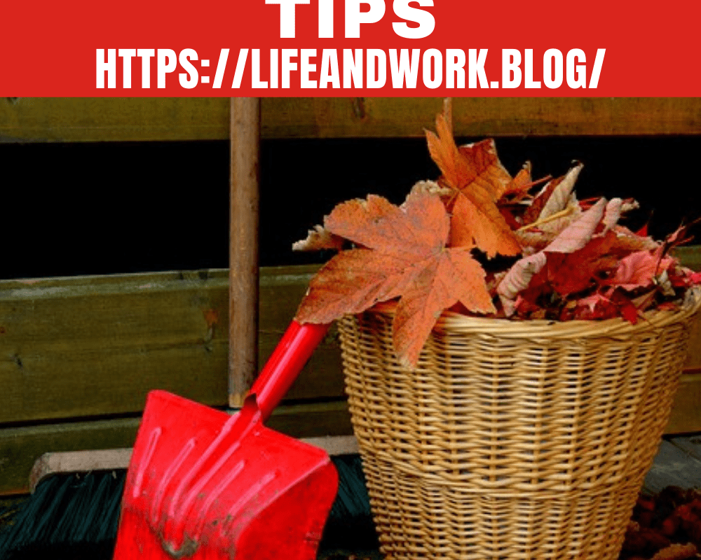 Yard And Lawn Clean Up Tips