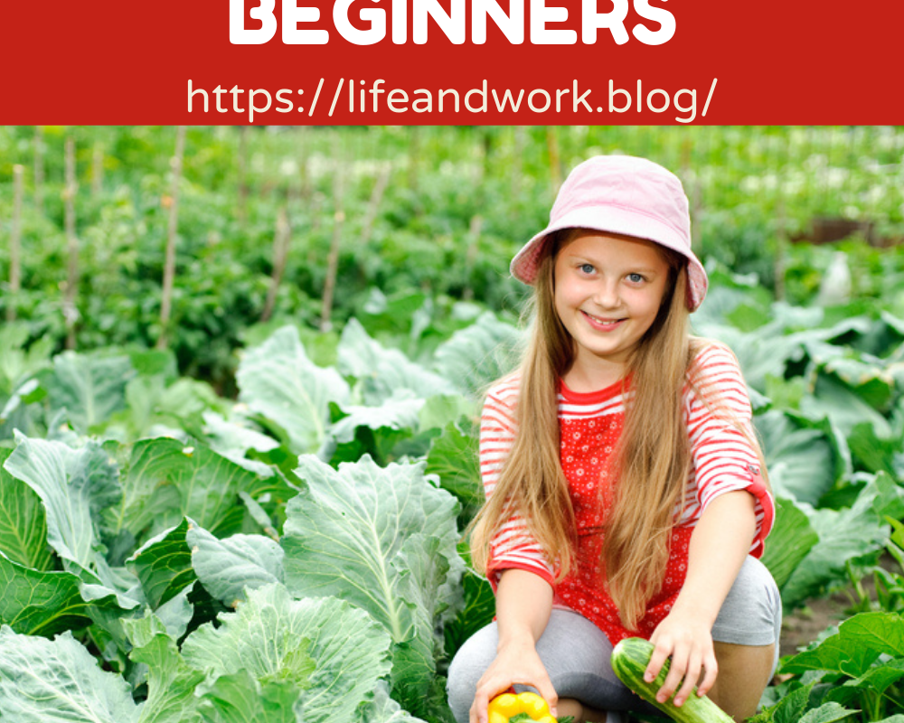 Gardening Vegetable Gardening Tips For Beginners