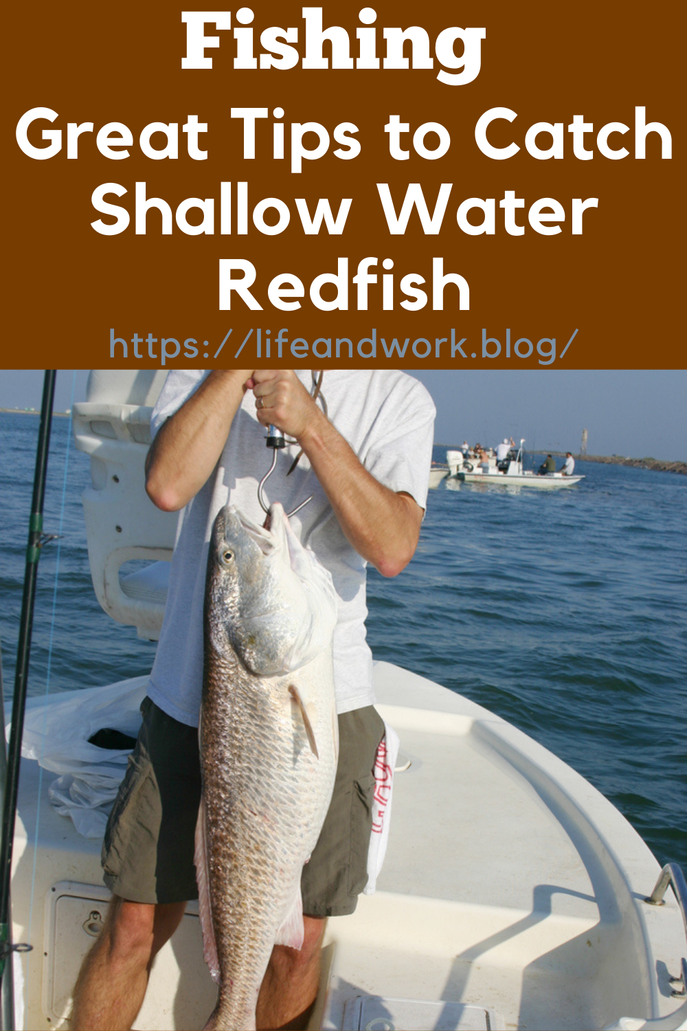 3 Essential Tips For Catching Shallow Water Redfish