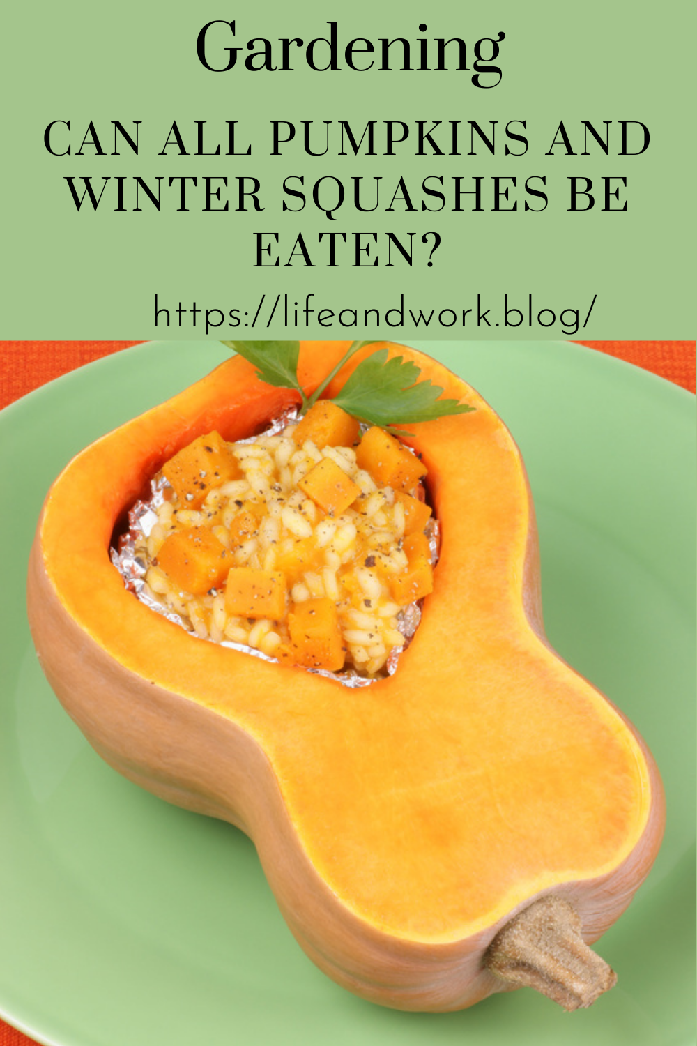 Can All Pumpkins and Winter Squashes Be Eaten?