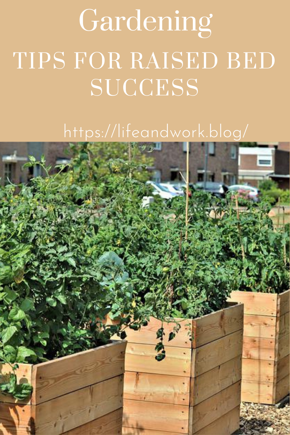 Tips For Raised Bed Success