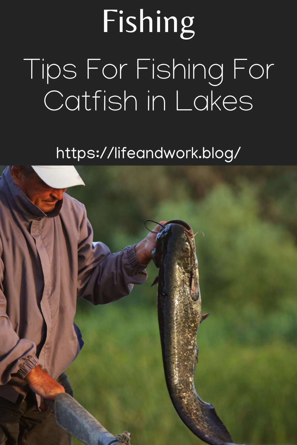 Tips For Fishing For Catfish in Lakes