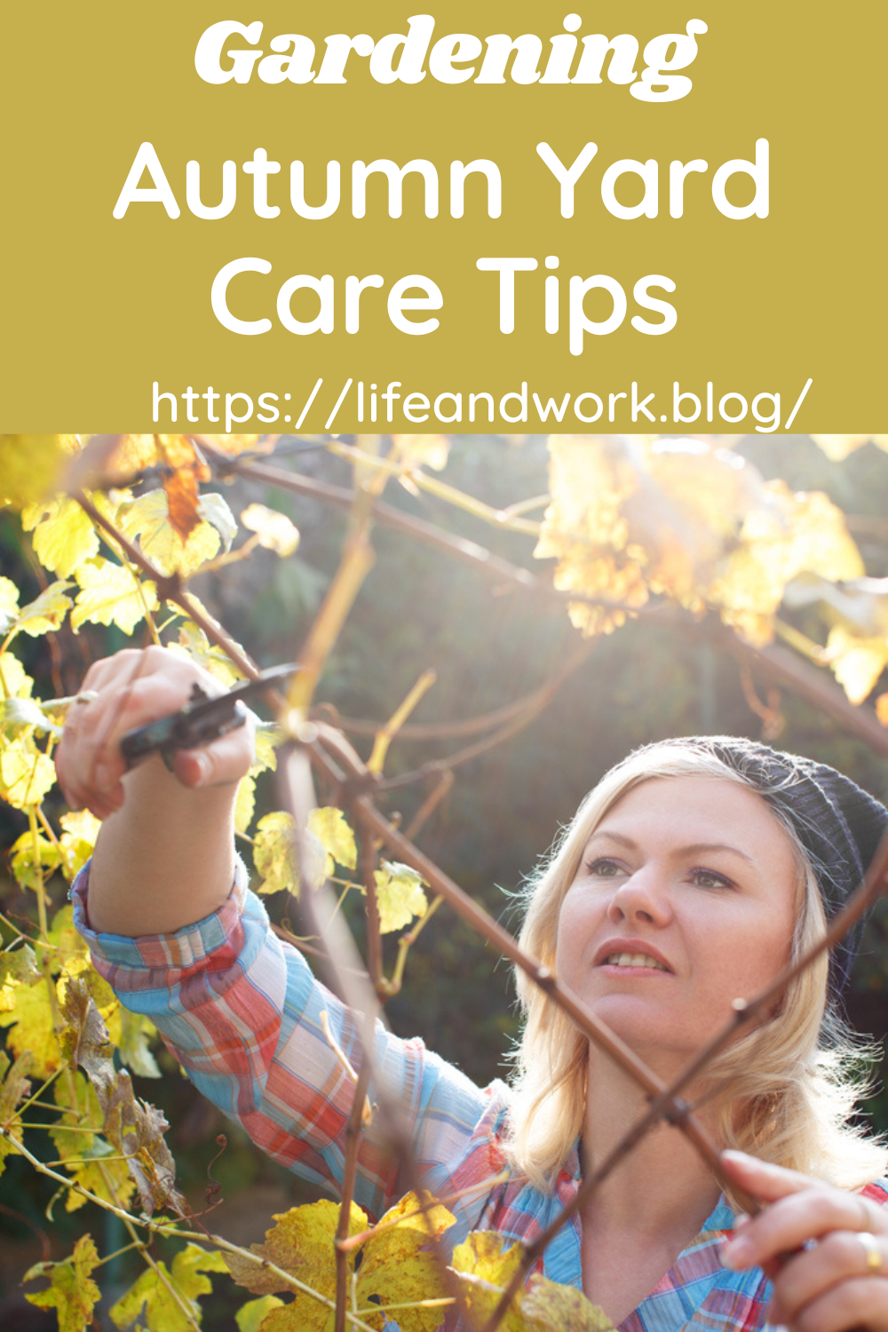 Autumn Yard Care Tips