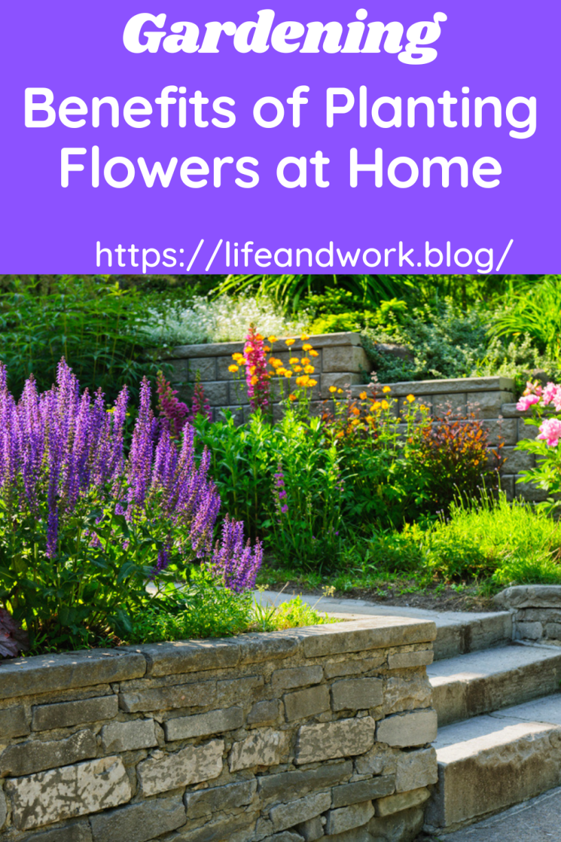 Benefits of Planting Flowers at Home