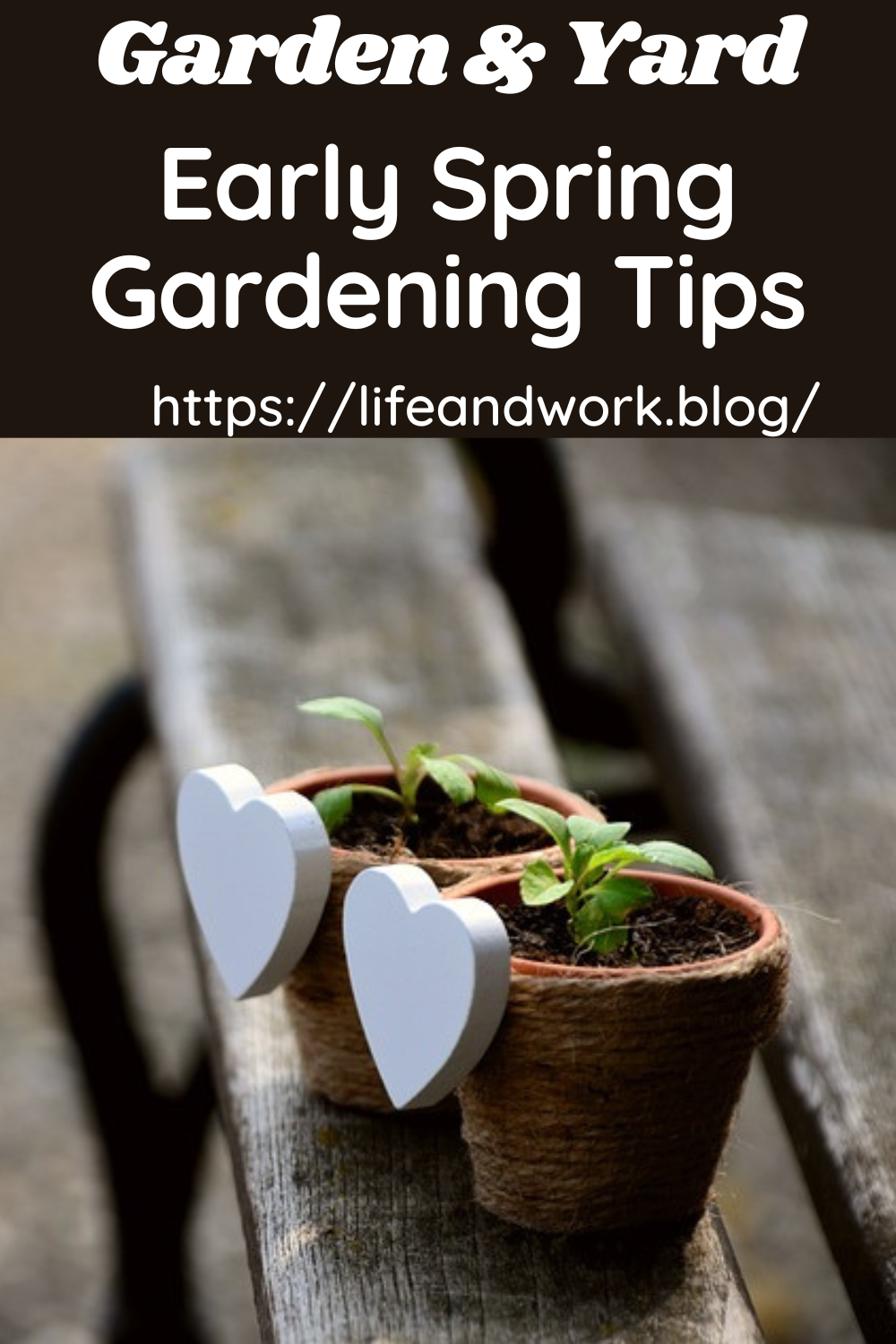 Early Spring Gardening Tips