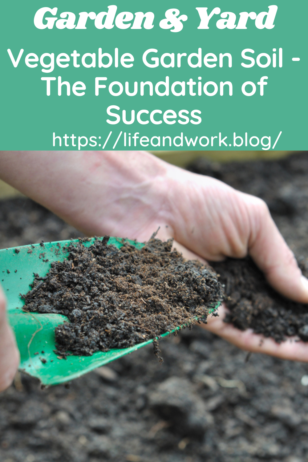Vegetable Garden Soil The Foundation of Success