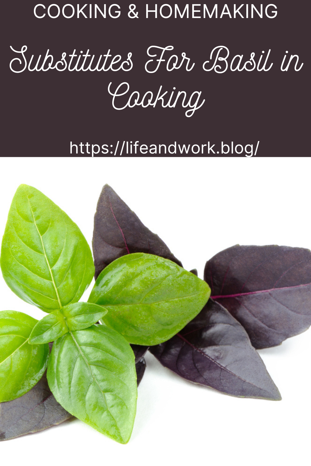 Substitutes For Basil in Cooking