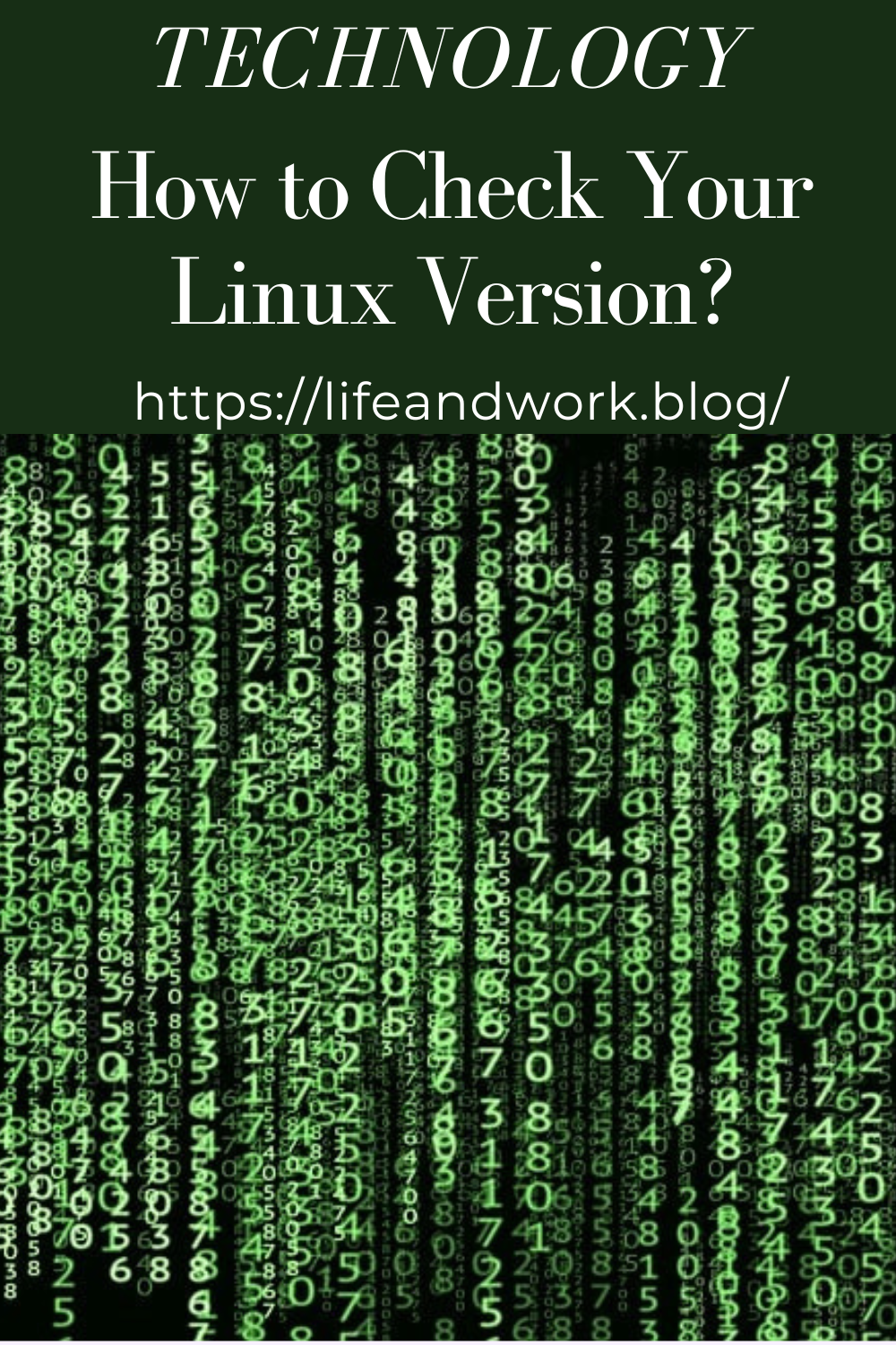 Technology – How to Check Your Linux Version