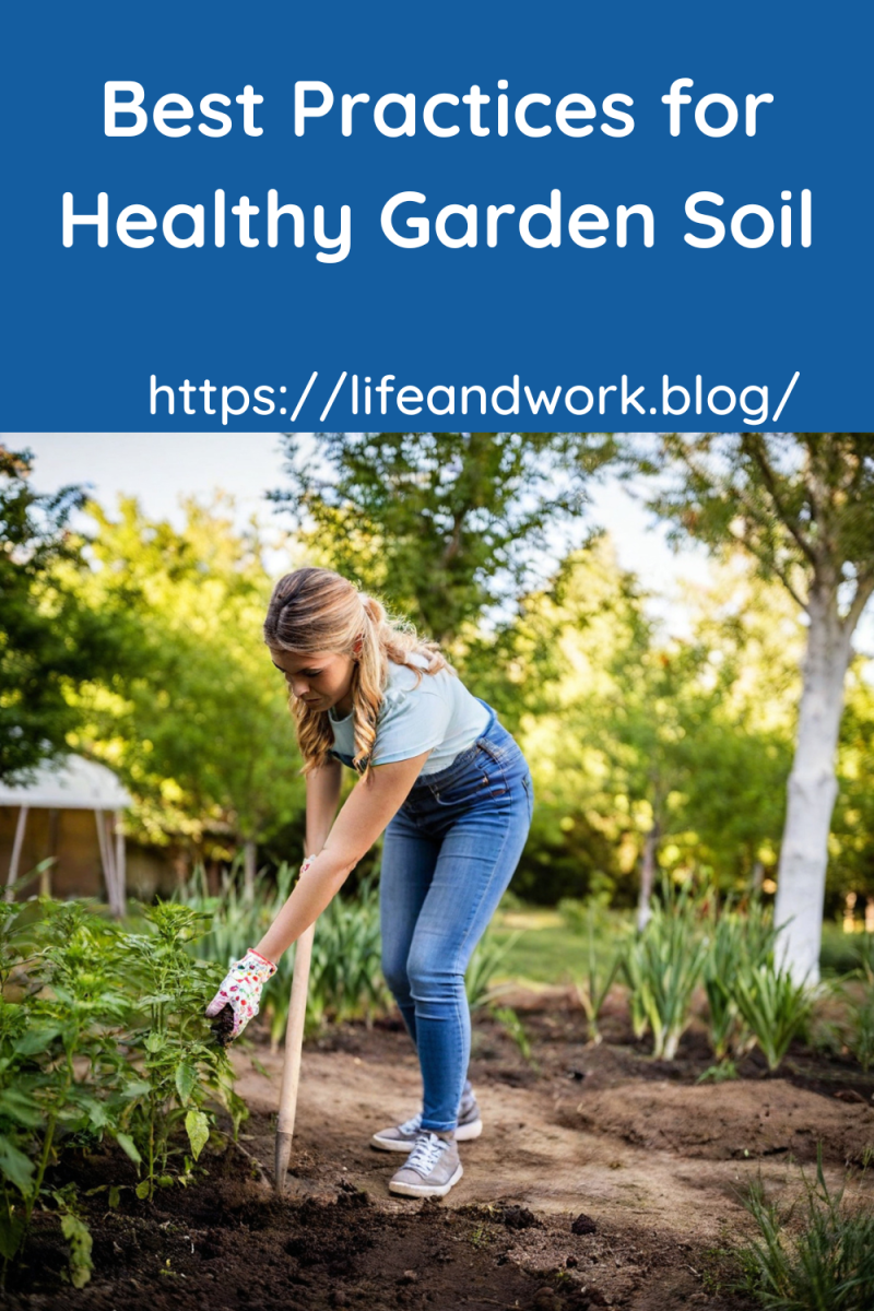 Best Soil Amendments for Healthier Garden Bed Plants