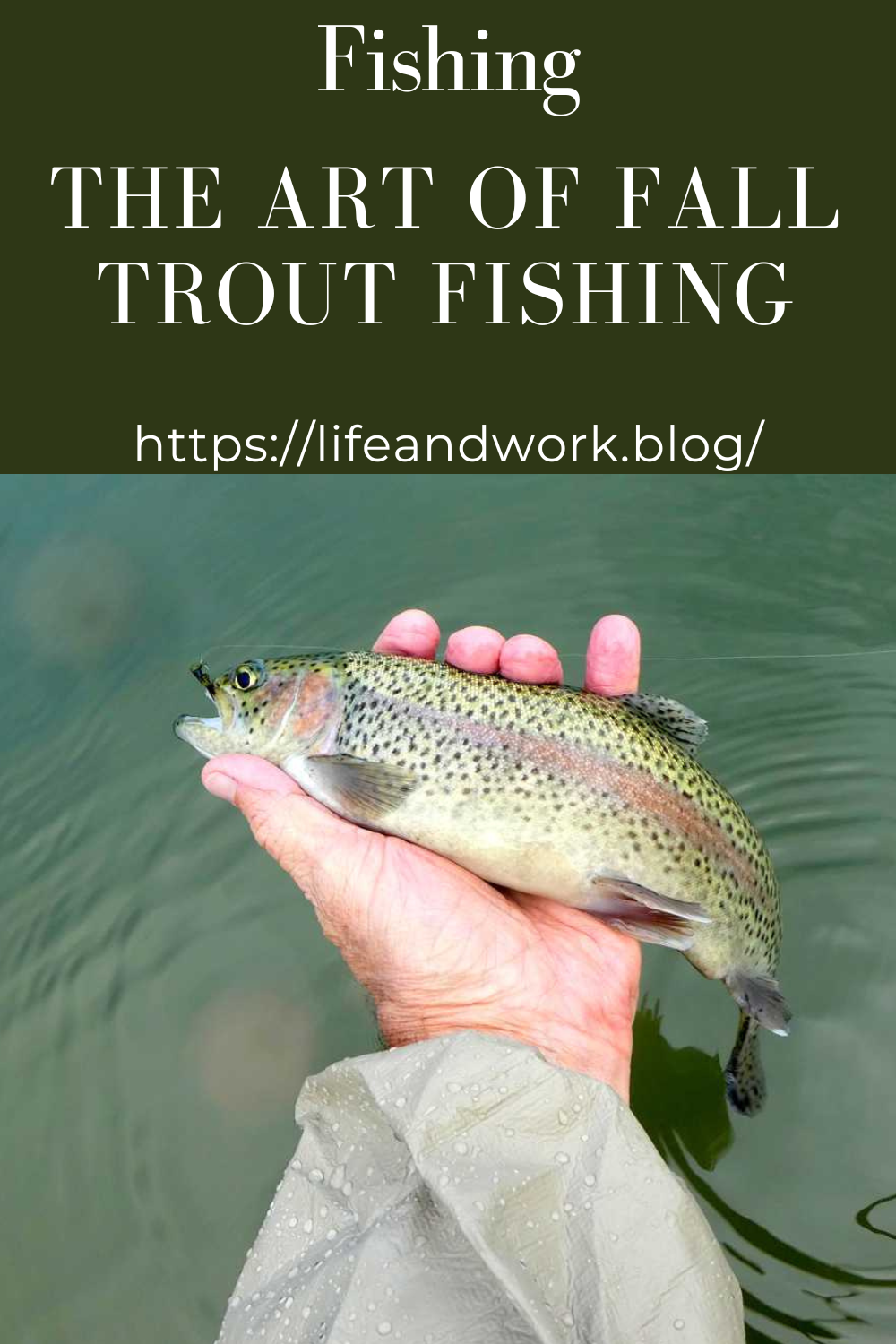 The Art of Fall Trout Fishing