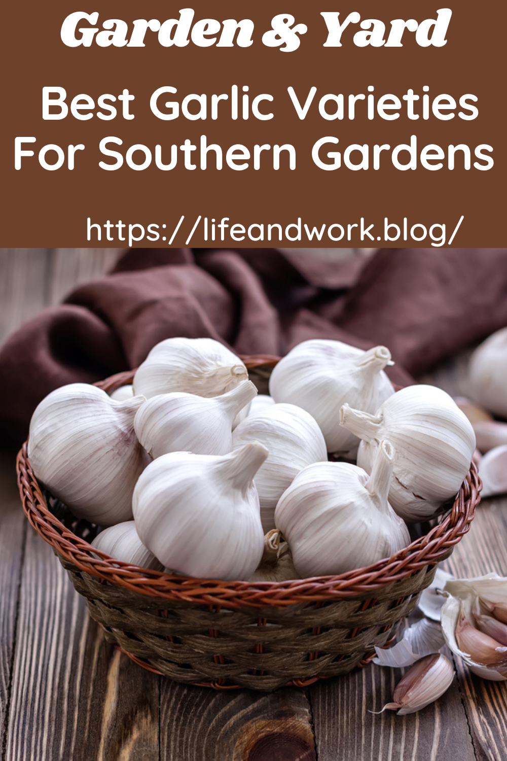 Best Garlic Varieties For Southern Gardens